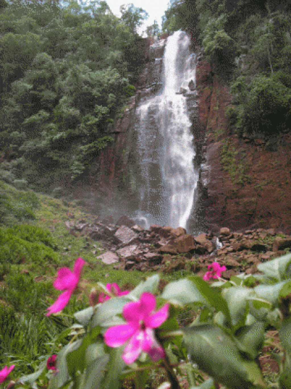 Cachoeira São Pedro